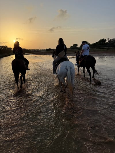 El rancho Mallorca - hipica in Campos