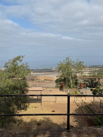 Onira Equestrian Center - hipica in Fañabé