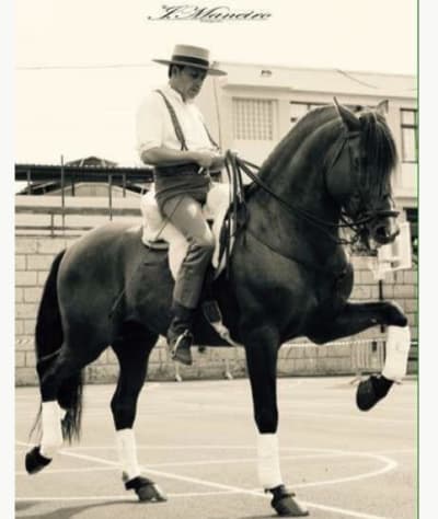 Hípica Cuadras El Médano ( Centro hípico, Horse riding, Reitausflüge) - hipica in El Médano