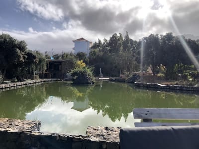 Centro Hípico Riendas Vivas - hipica in La Guancha