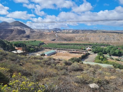 Centro Hípico Equus Gran Canaria - hipica in Telde