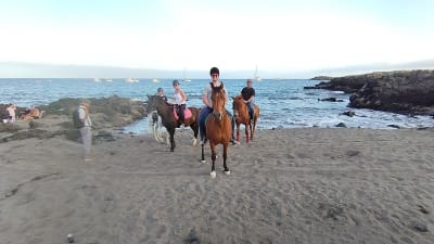Horse Riding Finca La Bonita rescuehorses - hipica in Arona
