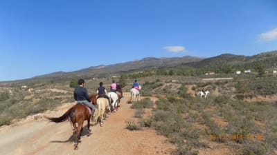 Horse Riding Tenerife - Paseos a Caballo Tenerife - hipica in Arona