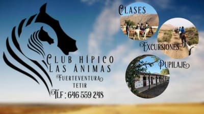 Club hipico las Animas - hipica in Puerto del Rosario