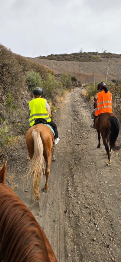Finca ecuestre Idamar - hipica in Tenoya