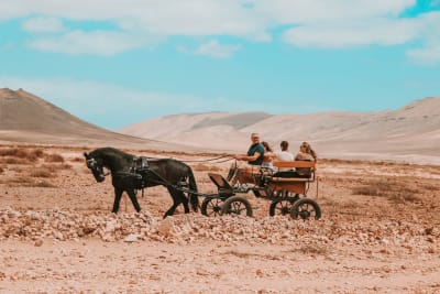 Crines del Viento - hipica in Triquivijate
