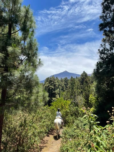Teneriffa Reiten - hipica in Icod de los Vinos