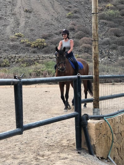 Centro Hípico Hipovet Canarias ( Club del Pony ) - hipica 