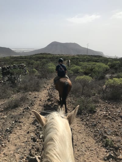 Horse Riding Finca Juan Martin - hipica 