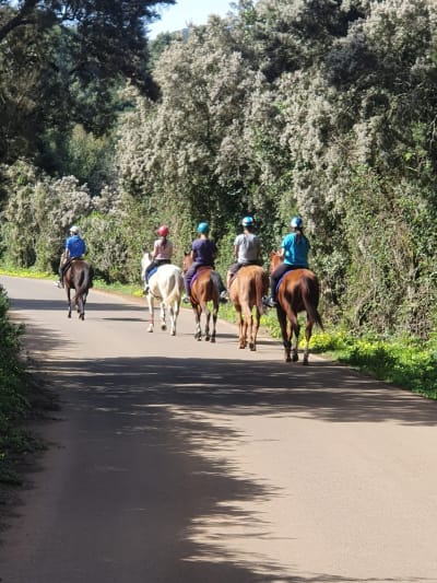 Samuel Santos Finca El Castor - hipica 