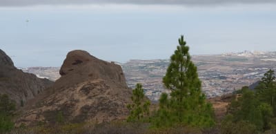 Los Caballos - hipica in Adeje