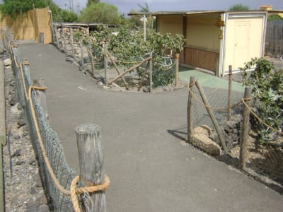 Ecological Farm Finca El Carretón - hipica in Arafo