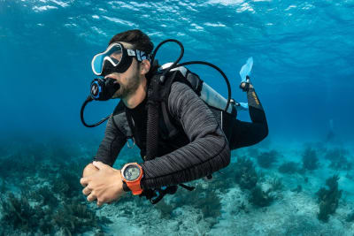 Scubanana Dive Center - hipica in Radazul