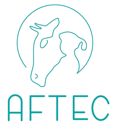 AFTEC - Asociación para el Fomento de las Terapias Ecuestres en Canarias - hipica in Telde