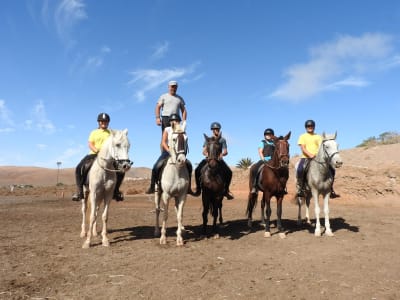 Centro Hipico El Aceitunal - hipica in Puerto del Rosario