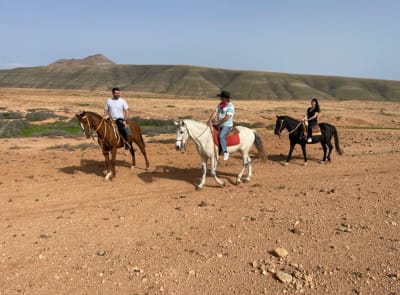 Cuadras Sueño ES - hipica 
