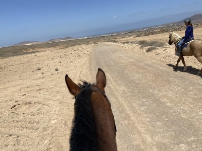 Cuadras Adelfa / Horseriding Villaverde - hipica in Villaverde