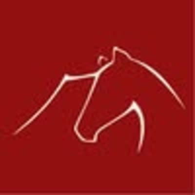 Hípica Los Volcanes Tahiche - hipica in Teguise