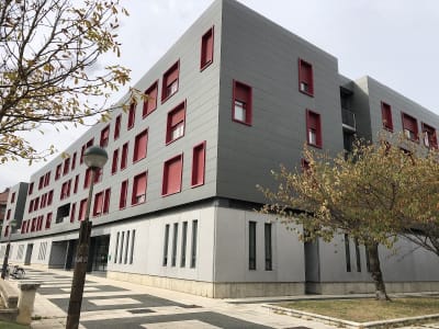 Zuzenak kirol taldea - rugby in Vitoria-Gasteiz