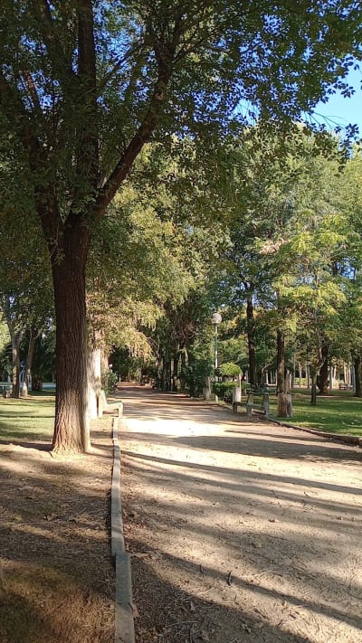 Pabellón las Fuentes - tenis_de_mesa in Utebo
