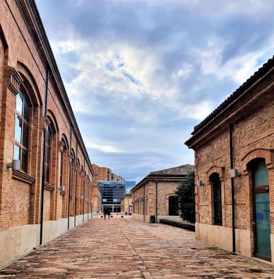 Fundació Esportiva Municipal - voleibol in València