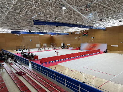 Pavelló Poliesportiu "Miguel Meca Torres" - tenis_de_mesa in Les Roquetes