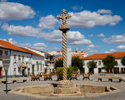 Clube Castelo Branco - tenis_de_mesa in Castelo Branco