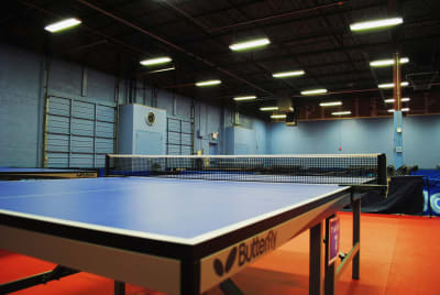 Princeton Pong - tenis_de_mesa in Princeton