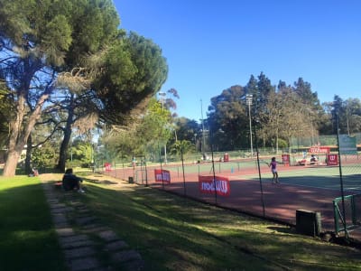 Associação de Ténis de Lisboa - tenis_de_mesa in Lisboa