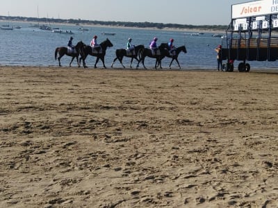 Complejo Polideportivo Municipal - baloncesto in Sanlúcar de Barrameda