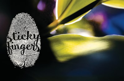 Sticky Fingers Marbella - tenis_de_mesa in Marbella