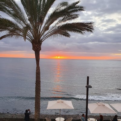THE GREEN HOUSE TENERIFE - tenis_de_mesa in Playa de las Américas