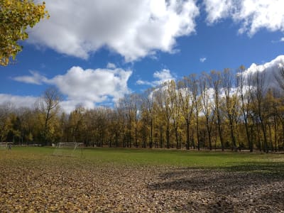 Polideportivo La Arboleda - fútbol in Almazán
