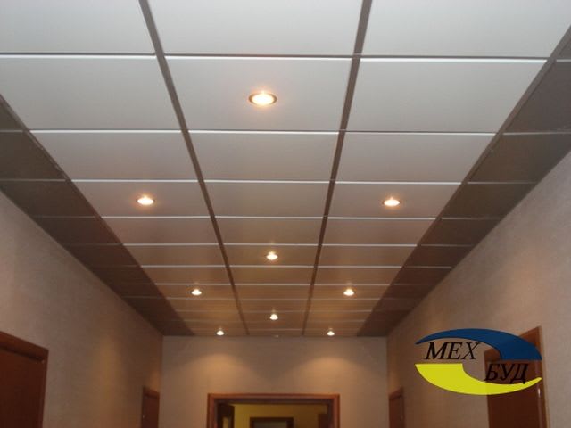 potolok-v-otdelenii-policii potolok-v-otdelenii-policii