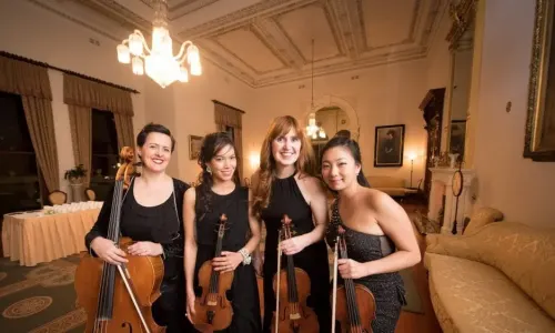 Alto Strings — Quartet in Melbourne
