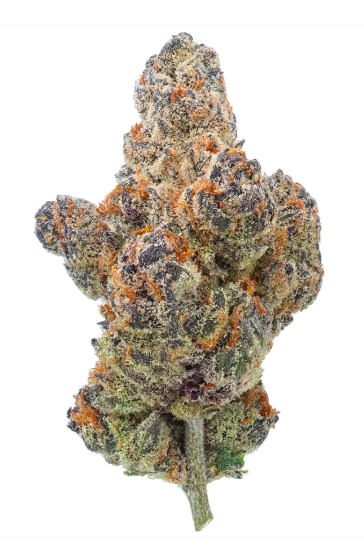Platinum Cherry Biscotti