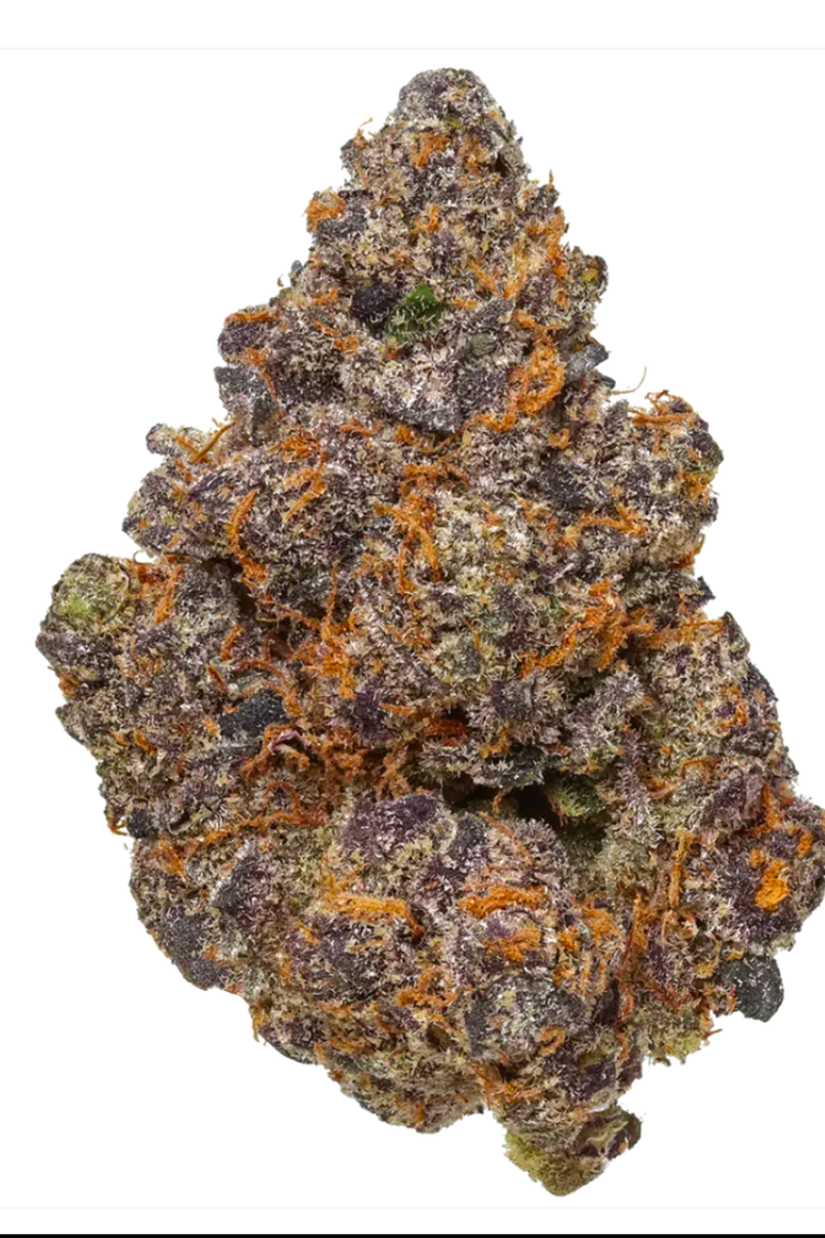 Bubblegum Runtz