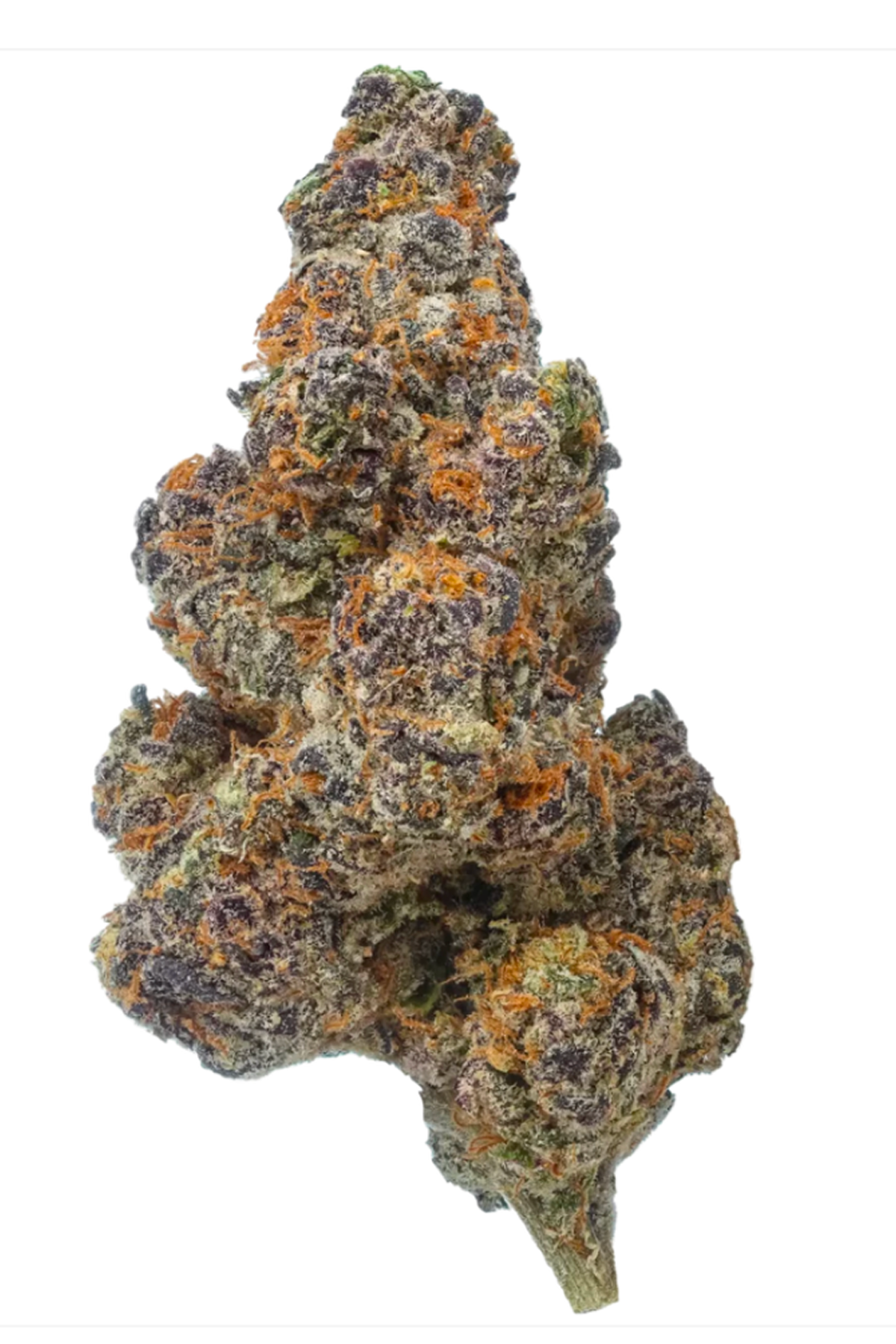 Crunch Berries