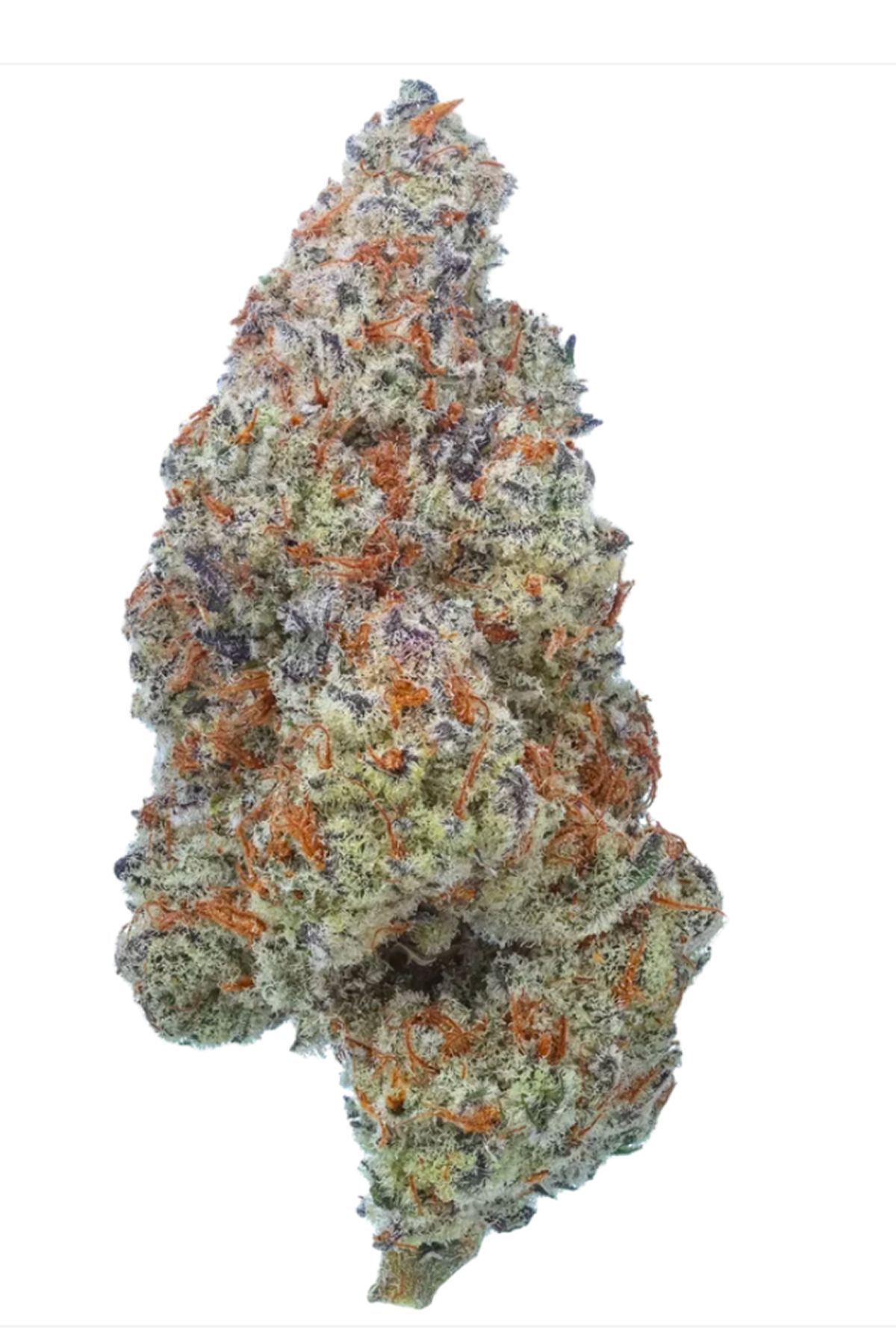 Juicy Fruit