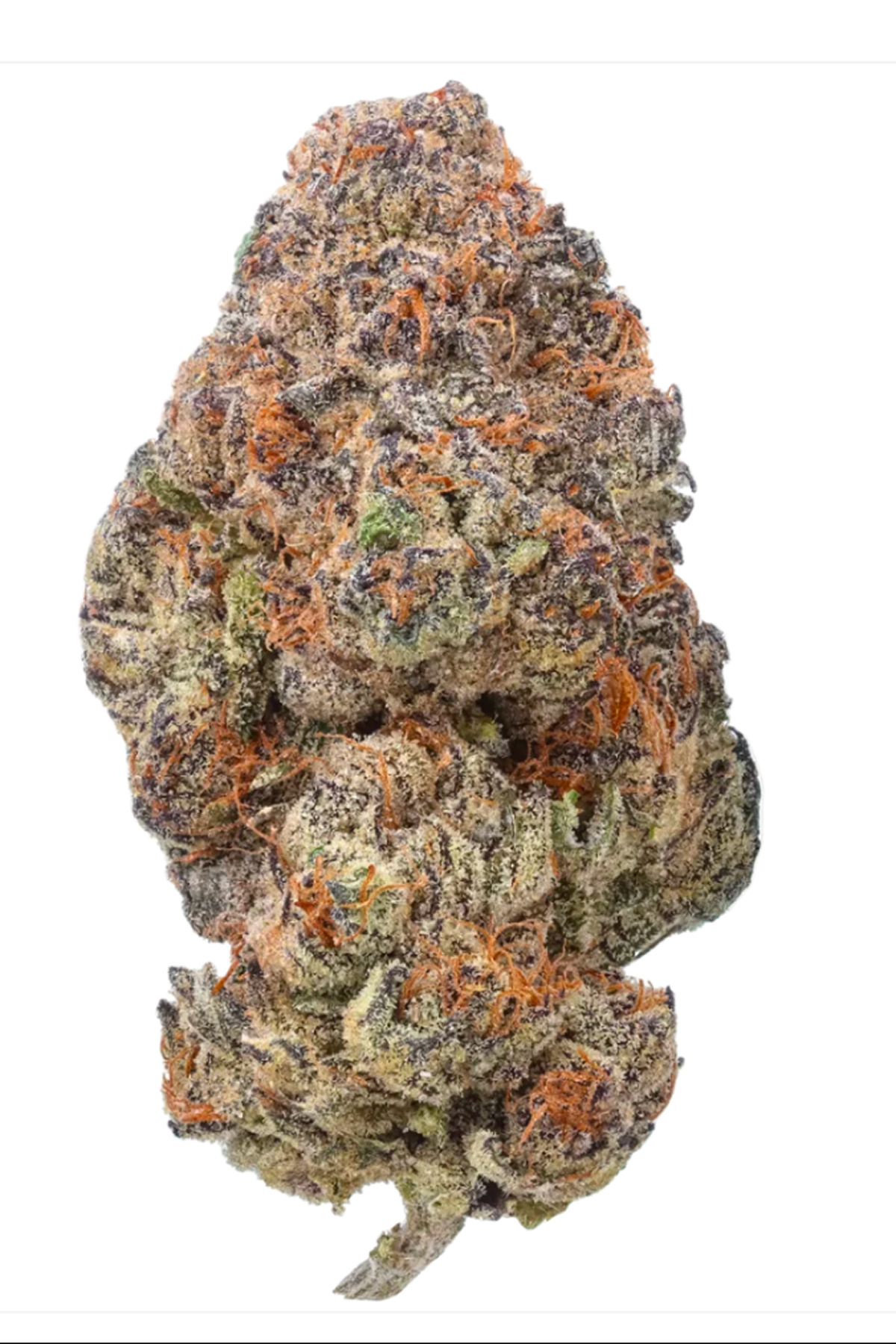 Lemon Cherry Gelato