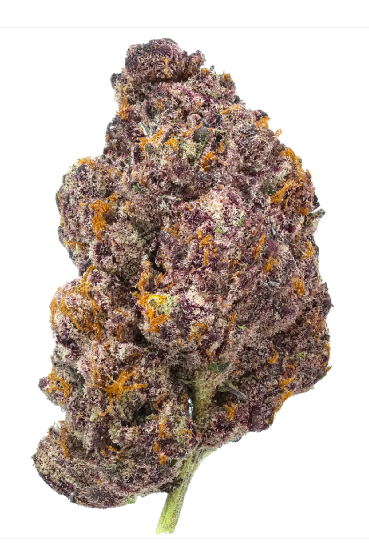 Jelly Breath