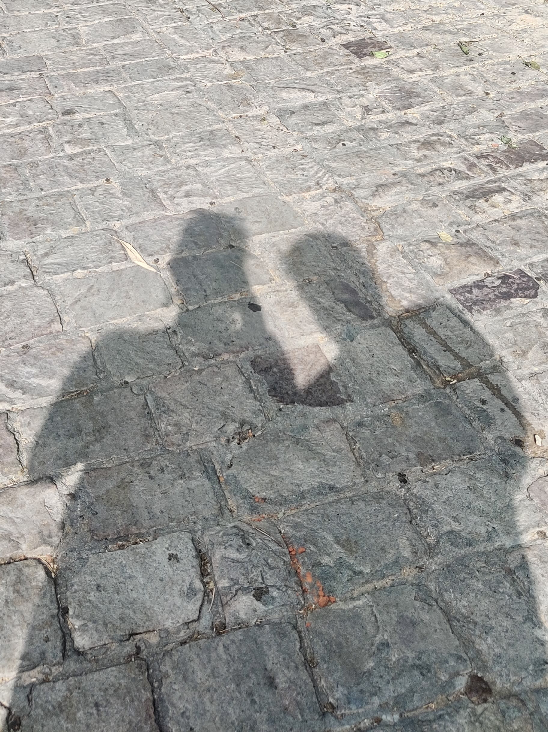 Couple