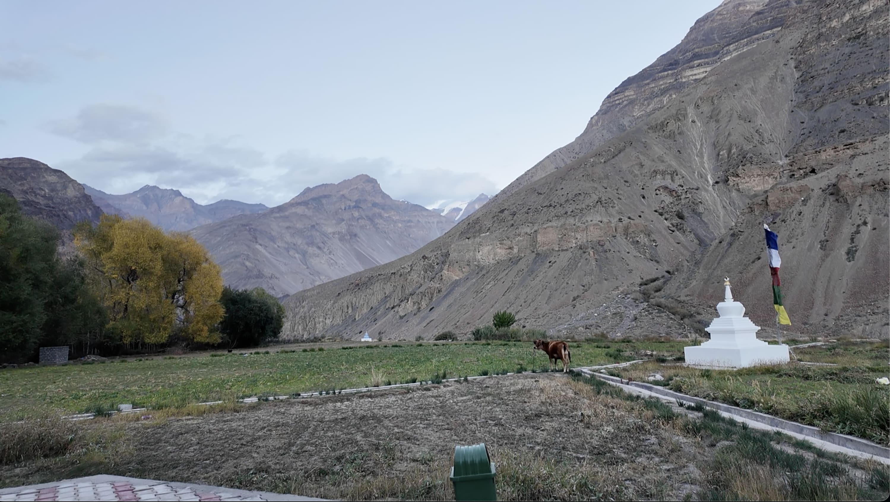 Stay in Tabo