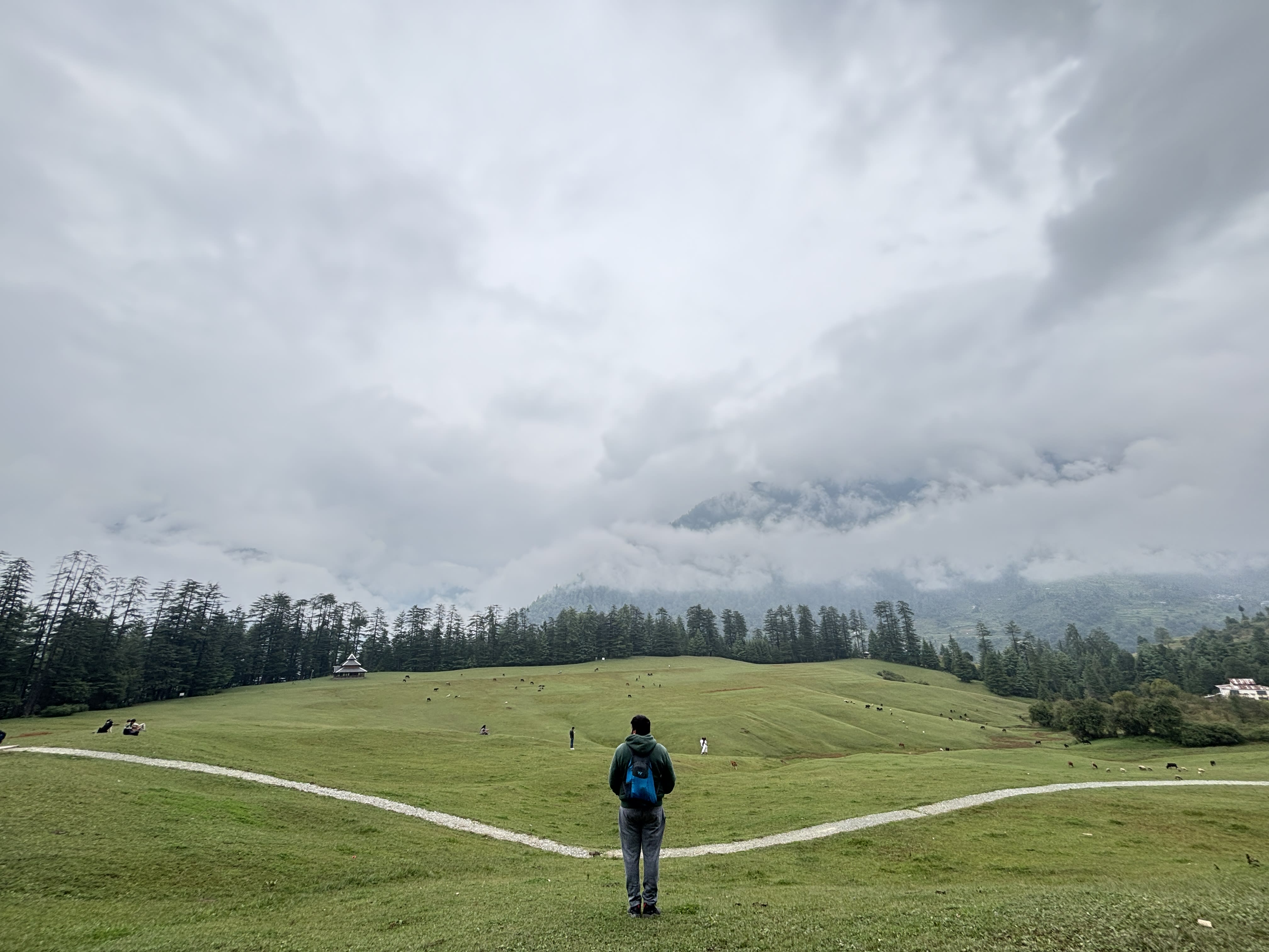 Shangarh Meadows