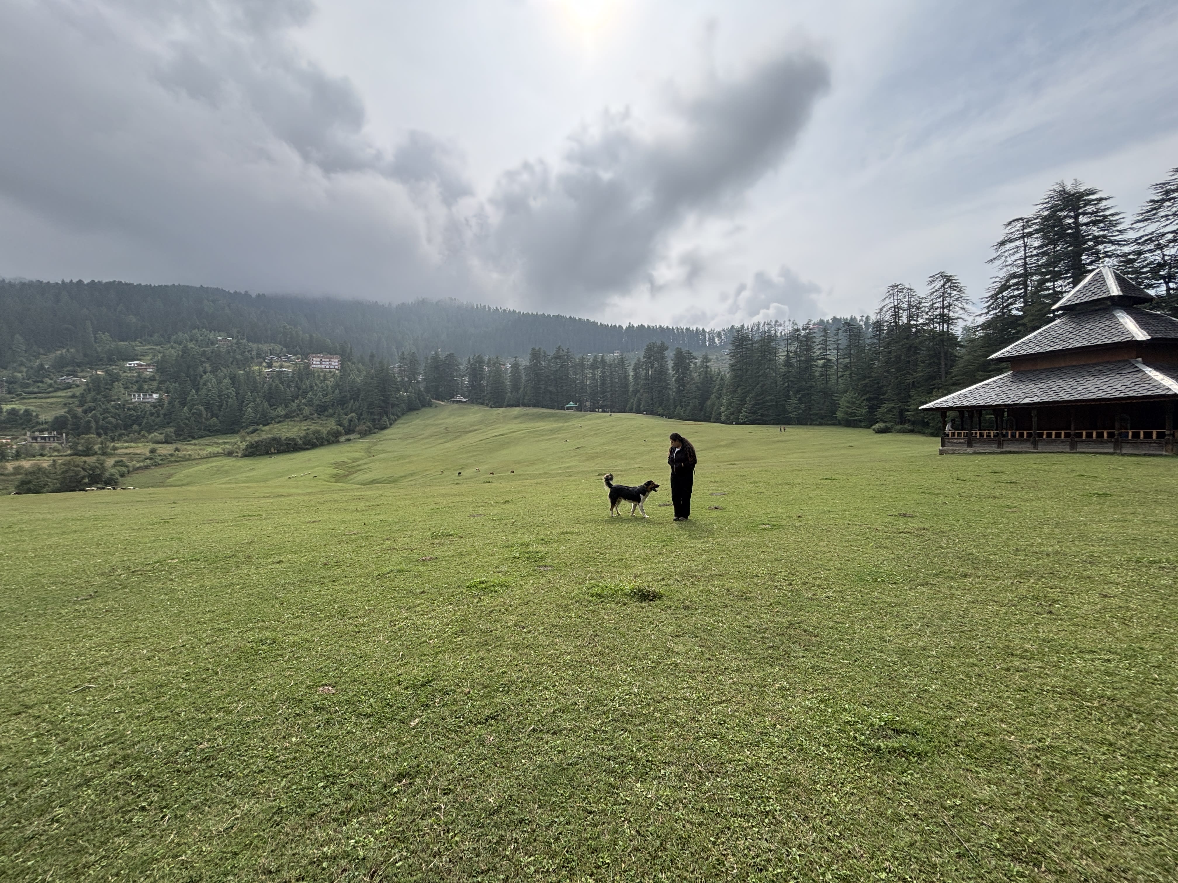 Shangarh Meadows