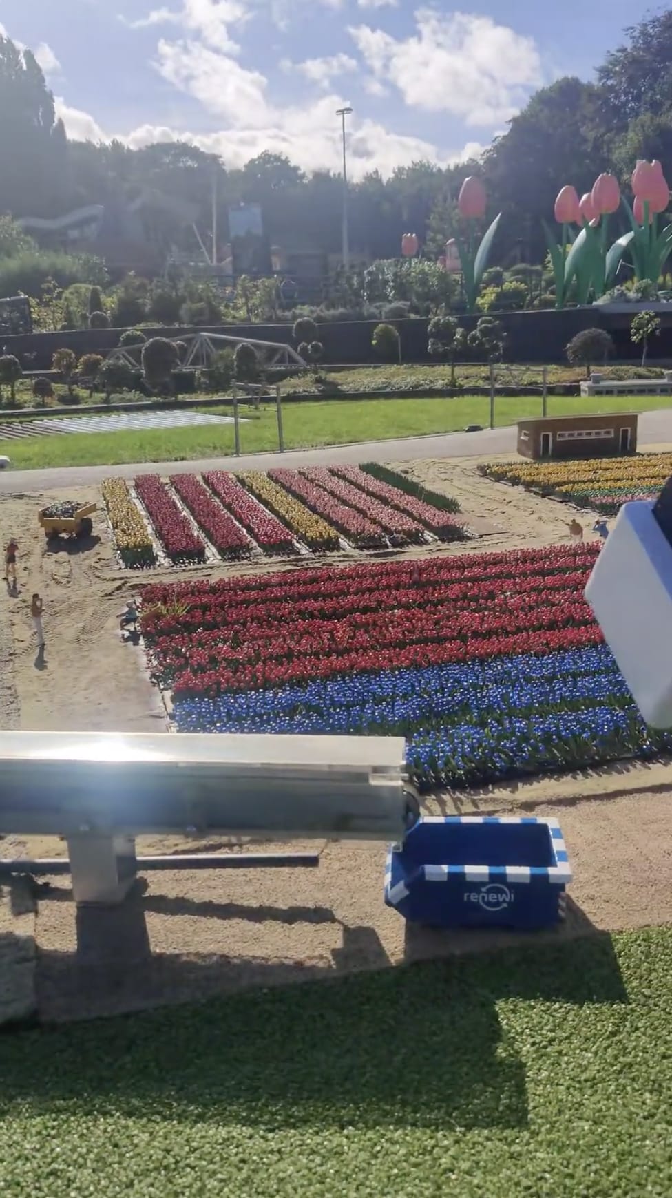 Tulip factory