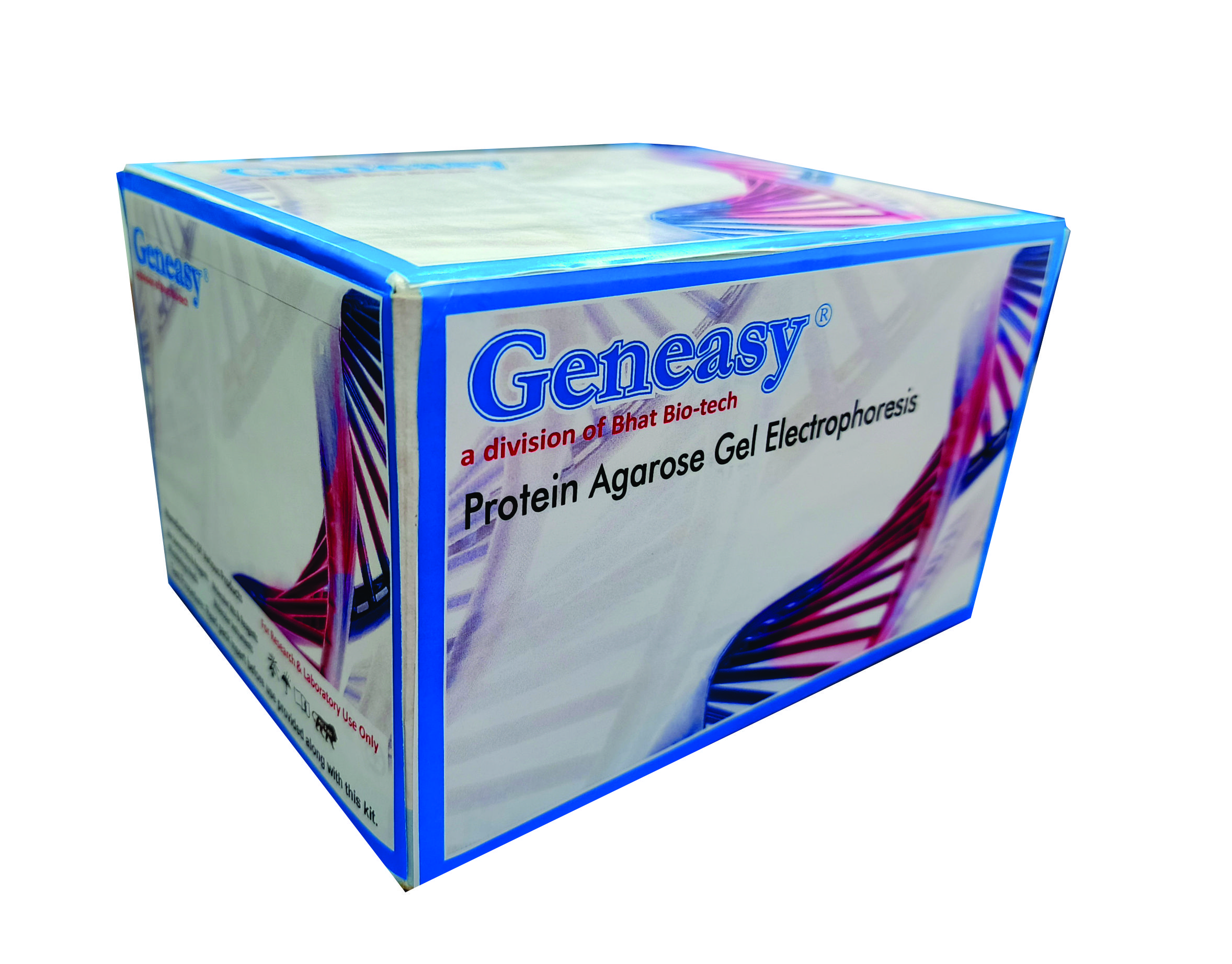 Protein Agarose Gel Electrophoresis