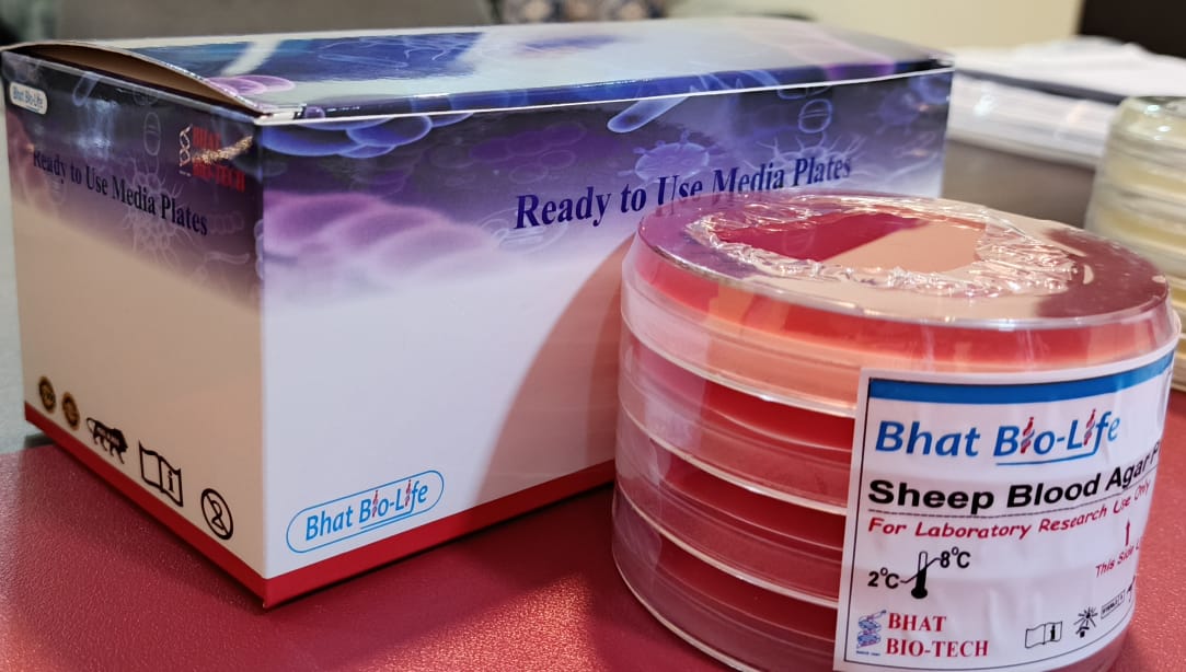 Sheep Blood Agar Plates