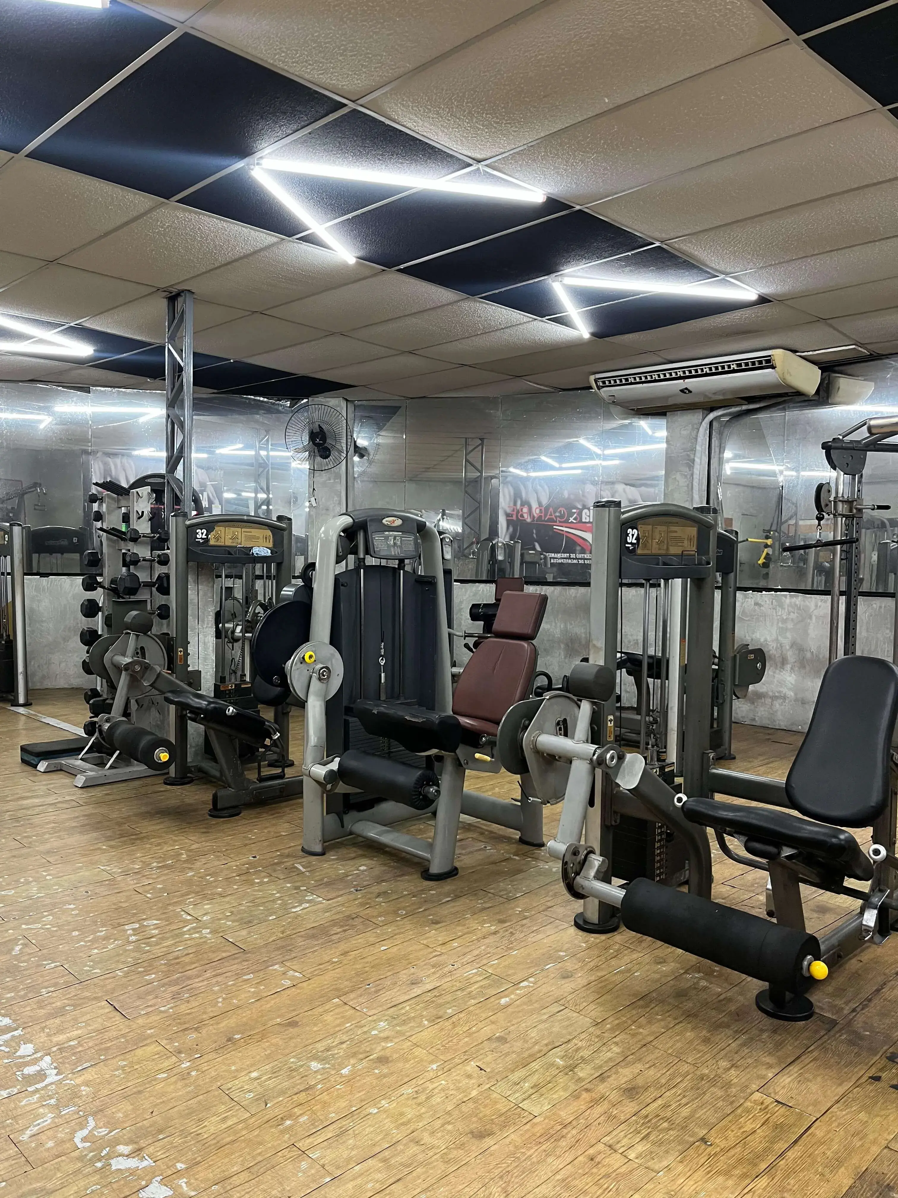 Estrutura da Academia & Caribe