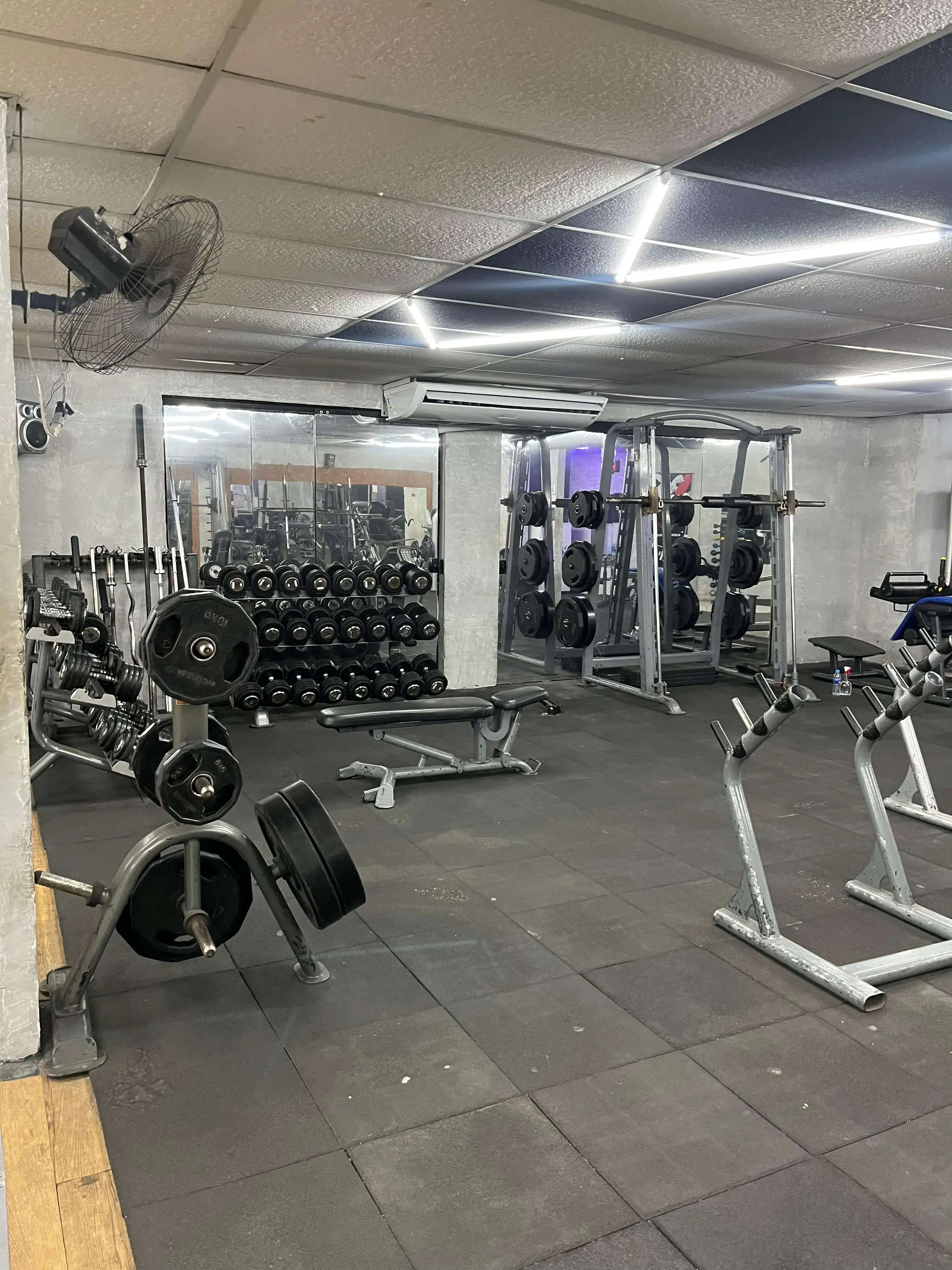 Estrutura da Academia & Caribe